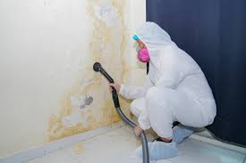 Best Forensic Mold Investigation  in New Berlin, IL